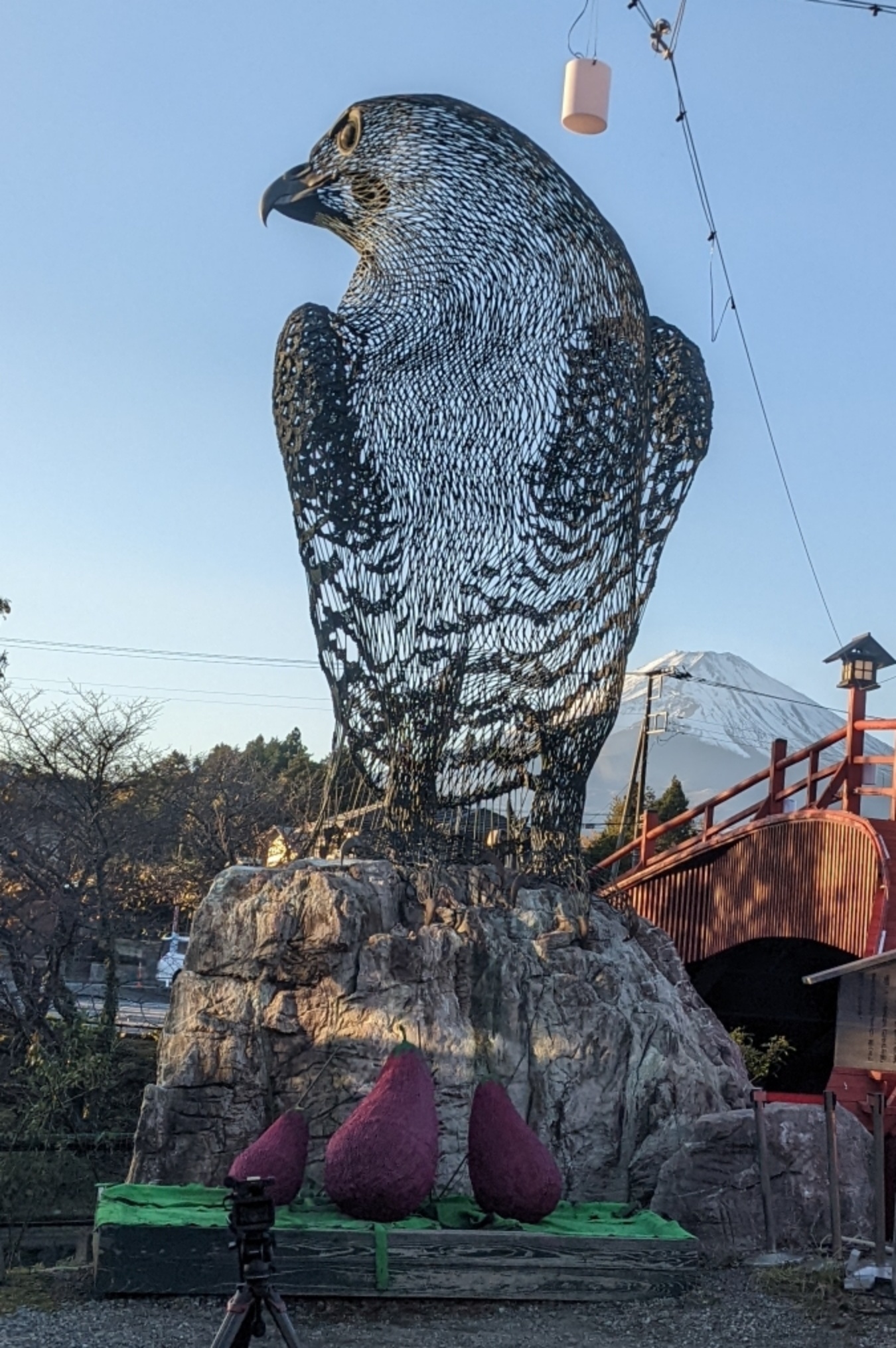 Profile